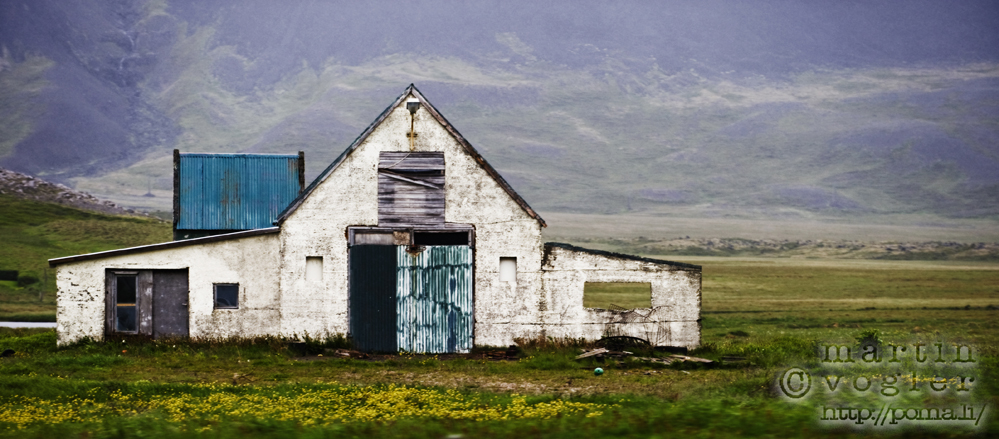 _dsc6135_1