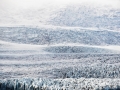 _dsc7916_1