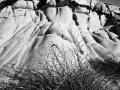 _dsc9995