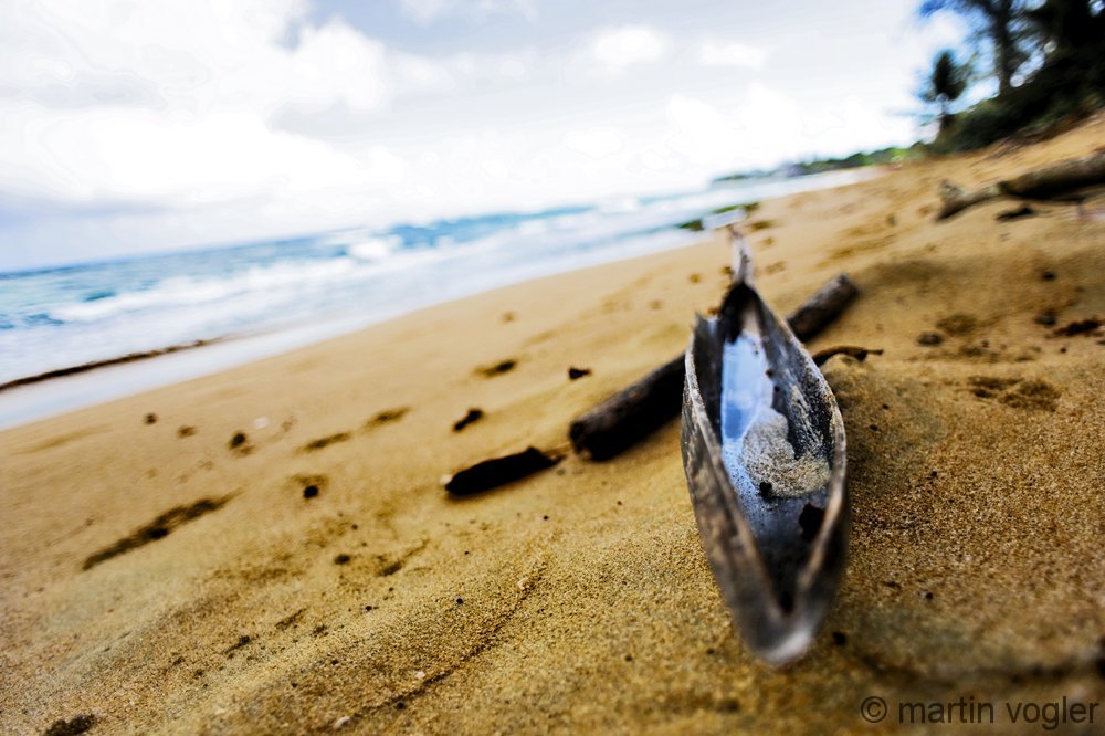 beach2.jpg