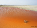 orange02