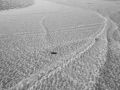 R0000738 copy